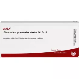 GLANDULA SUPRARENALES dextra GL D 12 ampullen, 10X1 ml