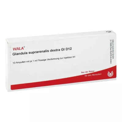 GLANDULA SUPRARENALES dextra GL D 12 ampullen, 10X1 ml