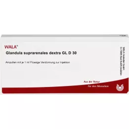 GLANDULA SUPRARENALES dextra GL D 30 ampullen, 10X1 ml