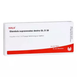 GLANDULA SUPRARENALES dextra GL D 30 ampullen, 10X1 ml