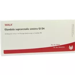 GLANDULA SUPRARENALIS sinistra GL D 4 ampullen, 10X1 ml