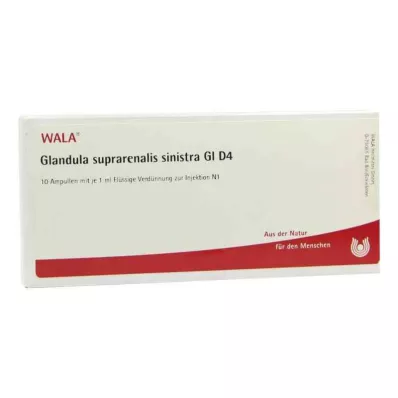 GLANDULA SUPRARENALIS sinistra GL D 4 ampullen, 10X1 ml GLANDULA SUPRARENALIS sinistra GL D 4 ampullen, 10X1 ml