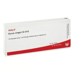 GYRUS cinguli GL D 12 ampullen, 10X1 ml