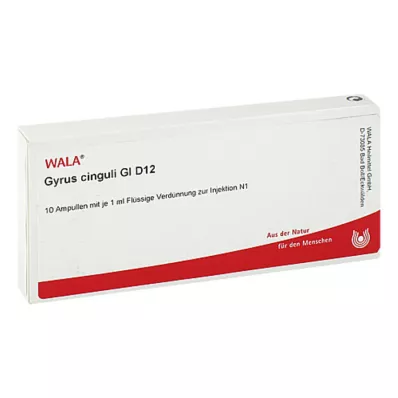 GYRUS cinguli GL D 12 ampullen, 10X1 ml GYRUS cinguli GL D 12 ampullen, 10X1 ml