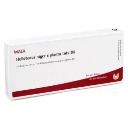 HELLEBORUS NIGER e planta tota D 6 Ampullen, 10X1 ml