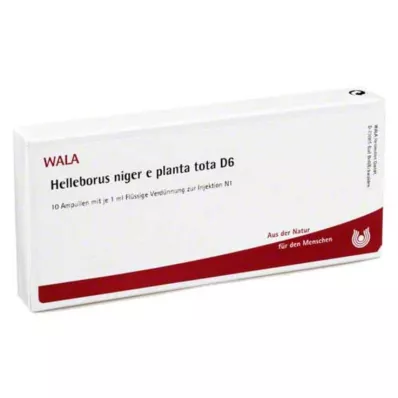 HELLEBORUS NIGER e planta tota D 6 Ampullen, 10X1 ml