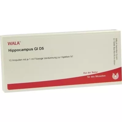 HIPPOCAMPUS GL D 5 ampullen, 10X1 ml