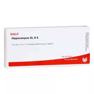 HIPPOCAMPUS GL D 6 Ampullen, 10X1 ml HIPPOCAMPUS GL D 6 Ampullen, 10X1 ml
