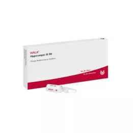 HIPPOCAMPUS GL D 8 Ampullen, 10X1 ml