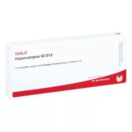 HIPPOCAMPUS GL D 12 Ampullen, 10X1 ml