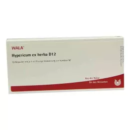 HYPERICUM EX Herba D 12 Ampullen, 10X1 ml