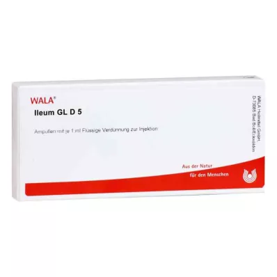ILEUM GL D 5 ampullen, 10X1 ml