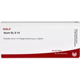 ILEUM GL D 15 Ampullen, 10X1 ml