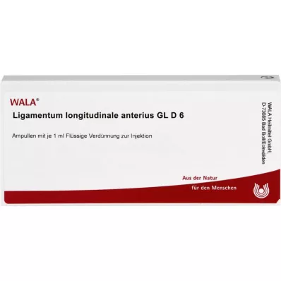 LIGAMENTUM LONGITUDINALE anterius GL D 6 ampullen, 10X1 ml