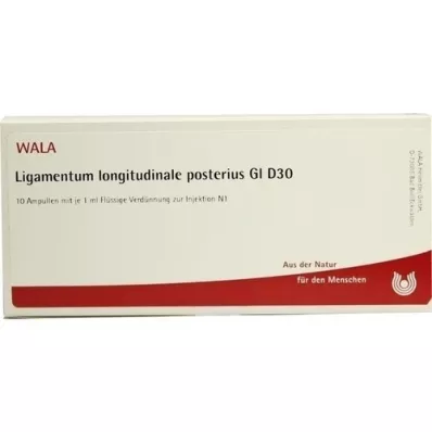 LIGAMENTUM LONGITUDINALE posterius GL D 30 Amp., 10X1 ml