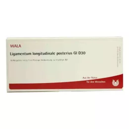 LIGAMENTUM LONGITUDINALE posterius GL D 30 Amp., 10X1 ml