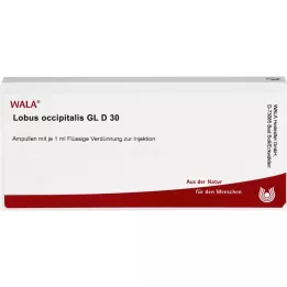 LOBUS occipitalis GL D 30 ampullen, 10X1 ml