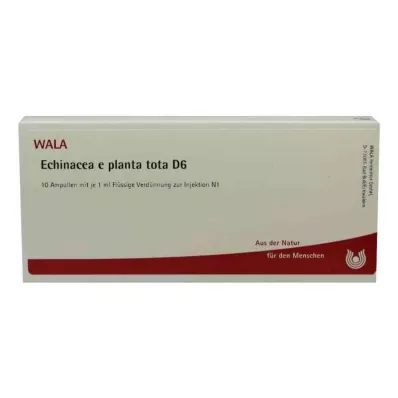 ECHINACEA E planta tota D 6 Ampullen, 10X1 ml ECHINACEA E planta tota D 6 Ampullen, 10X1 ml
