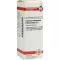 CALCIUM CARBONICUM Hahnemanni D 6 Verdunning, 20 ml