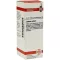 LEDUM EXTERN Tinctuur, 20 ml