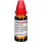 LEDUM EXTERN Tinctuur, 20 ml