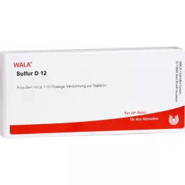 SULFUR D 12 Ampullen, 10X1 ml