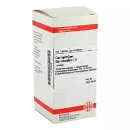 CAULOPHYLLUM THALICTROIDES D 4 tabletten, 200 stuks
