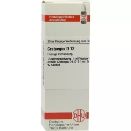 CRATAEGUS D 12 Verdunning, 20 ml