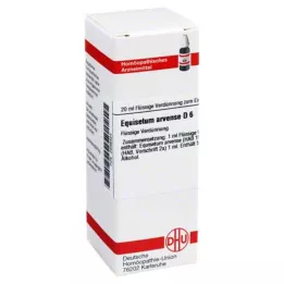 EQUISETUM ARVENSE D 6 Verdunning, 20 ml