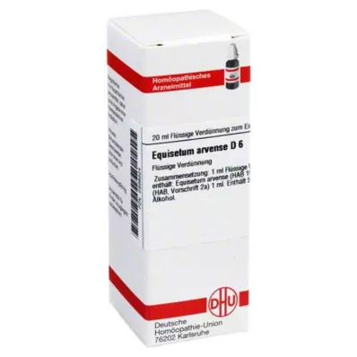 EQUISETUM ARVENSE D 6 Verdunning, 20 ml EQUISETUM ARVENSE D 6 Verdunning, 20 ml