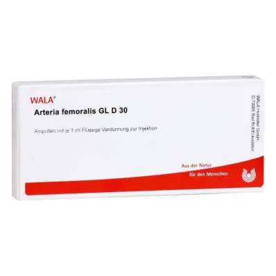 ARTERIA FEMORALIS GL D 30 Ampullen, 10X1 ml ARTERIA FEMORALIS GL D 30 Ampullen, 10X1 ml