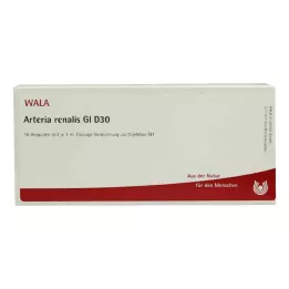 ARTERIA RENALIS GL D 30 Ampullen, 10X1 ml