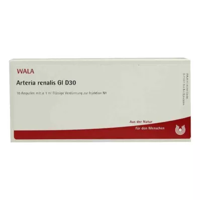 ARTERIA RENALIS GL D 30 Ampullen, 10X1 ml ARTERIA RENALIS GL D 30 Ampullen, 10X1 ml