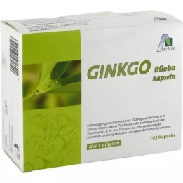 GINKGO 100 mg capsules+B1+C+E, 192 stuks