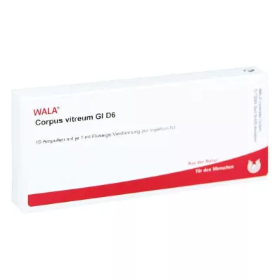 CORPUS VITREUM GL D 6 Ampullen, 10X1 ml CORPUS VITREUM GL D 6 Ampullen, 10X1 ml