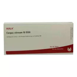 CORPUS VITREUM GL D 30 Ampullen, 10X1 ml