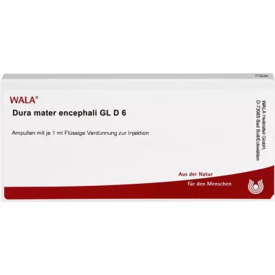 DURA MATER encephali GL D 6 ampullen, 10X1 ml