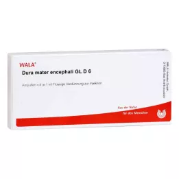 DURA MATER encephali GL D 6 ampullen, 10X1 ml