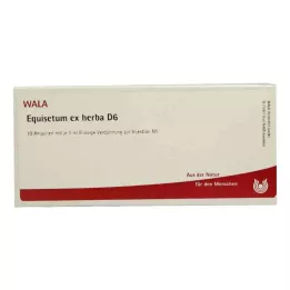 EQUISETUM EX Herba D 6 Ampullen, 10X1 ml