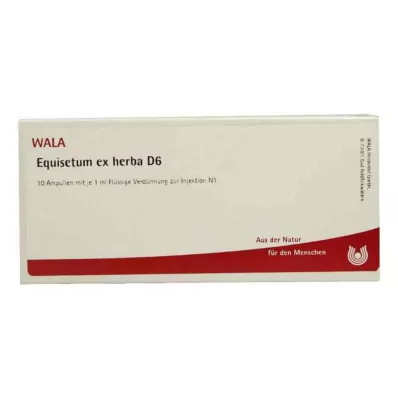 EQUISETUM EX Herba D 6 Ampullen, 10X1 ml EQUISETUM EX Herba D 6 Ampullen, 10X1 ml