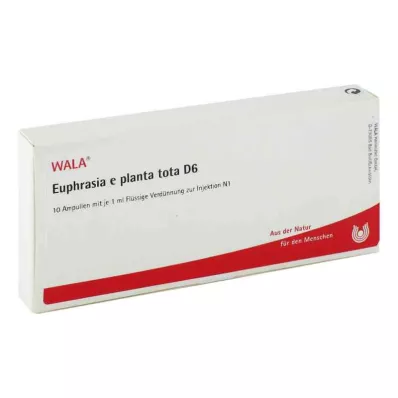 EUPHRASIA E planta tota D 6 Ampullen, 10X1 ml EUPHRASIA E planta tota D 6 Ampullen, 10X1 ml