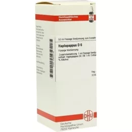 HAPLOPAPPUS D 6 Verdunning, 50 ml