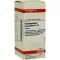 HARPAGOPHYTUM PROCUMBENS D 12 tabletten, 80 stuks