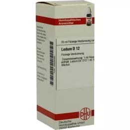 LEDUM D 12 Verdunning, 20 ml