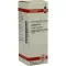 LEDUM D 12 Verdunning, 20 ml