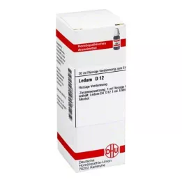 LEDUM D 12 Verdunning, 20 ml