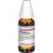 MAGNESIUM CARBONICUM D 6 Verdunning, 20 ml