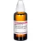 RHODODENDRON D 6 Verdunning, 50 ml