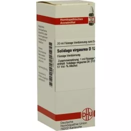 SOLIDAGO VIRGAUREA D 12 Verdunning, 20 ml