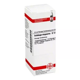 SOLIDAGO VIRGAUREA D 12 Verdunning, 20 ml